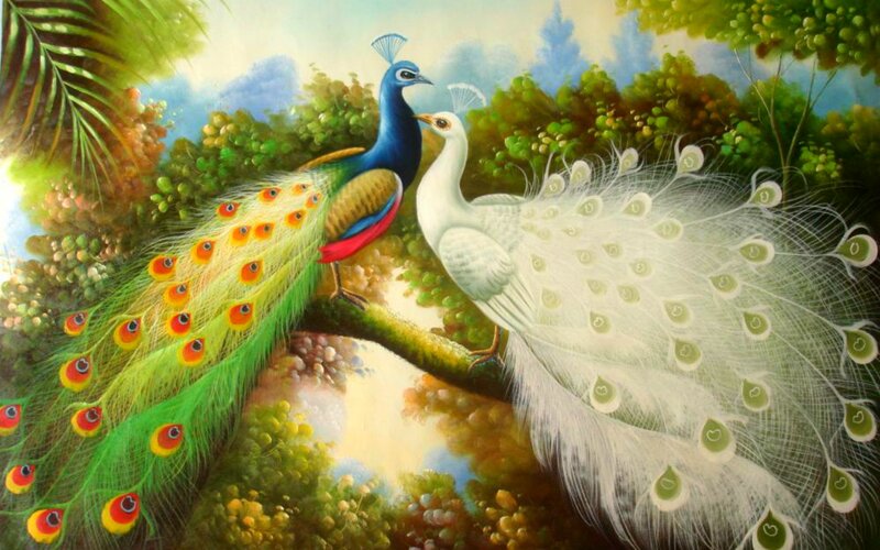 Peacock and White Peahen