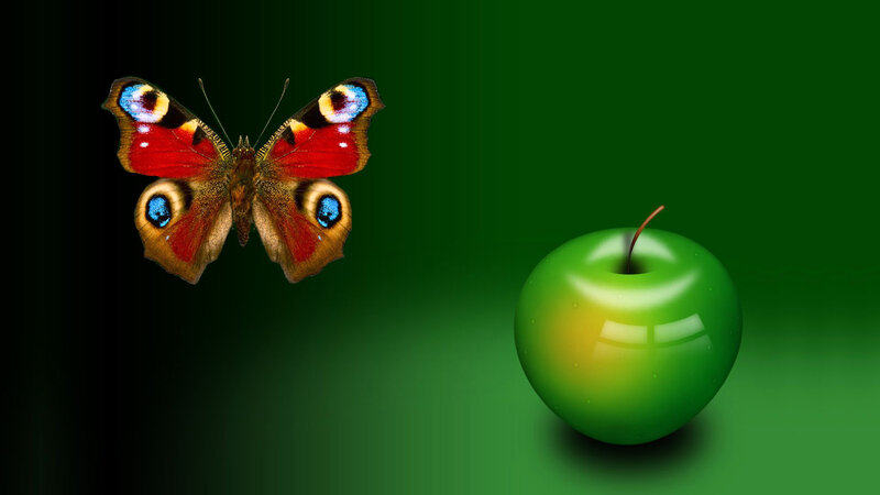 Peacock Butterfly and Apple