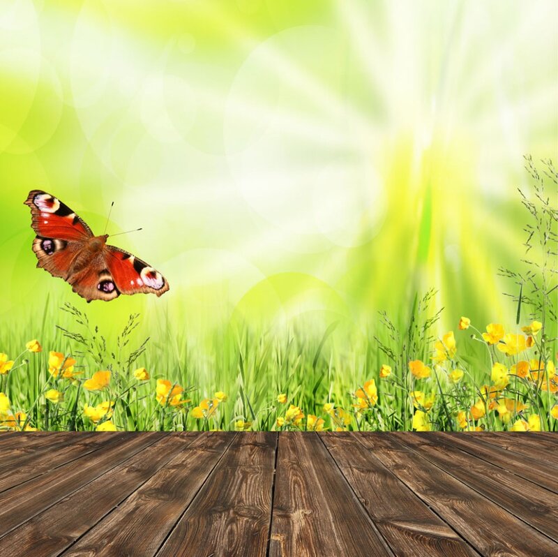 Peacock Butterfly in Field — Green