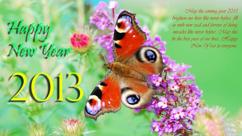 Peacock Butterfly on Flowers — Green, Festive