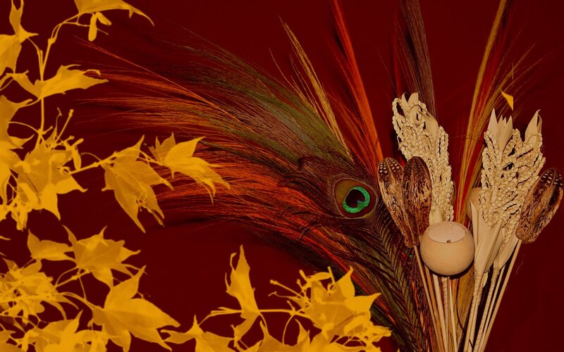 Peacock Feather Arrangement — Red