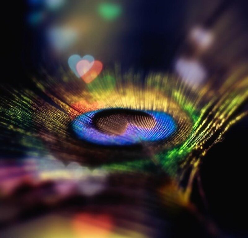 Peacock Feather Eye — Blue, Colorful