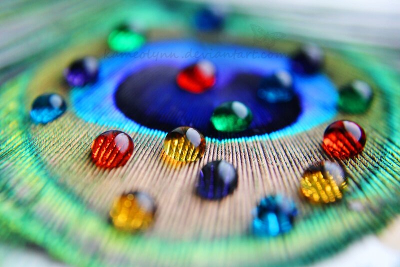 Peacock Feather with Water Droplets — Green, Vibrant