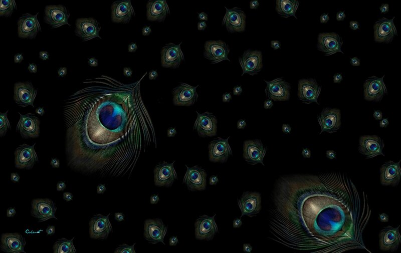 Peacock Feathers — Black, Mystical