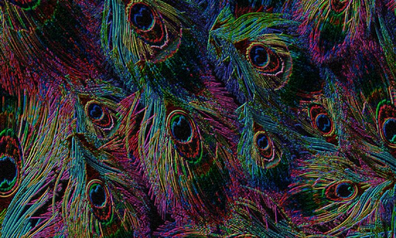 Peacock Feathers — Blue, Vibrant, Digital Art