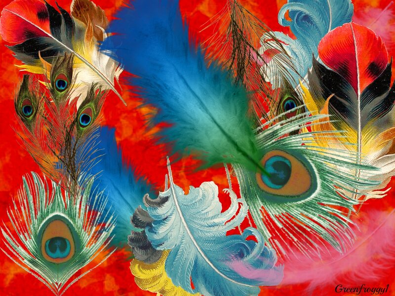 Peacock Feathers Collage — Red