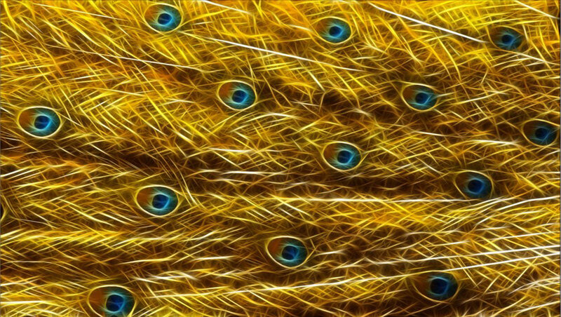 Peacock Feathers — Yellow