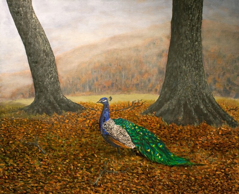 Peacock in Autumn Forest