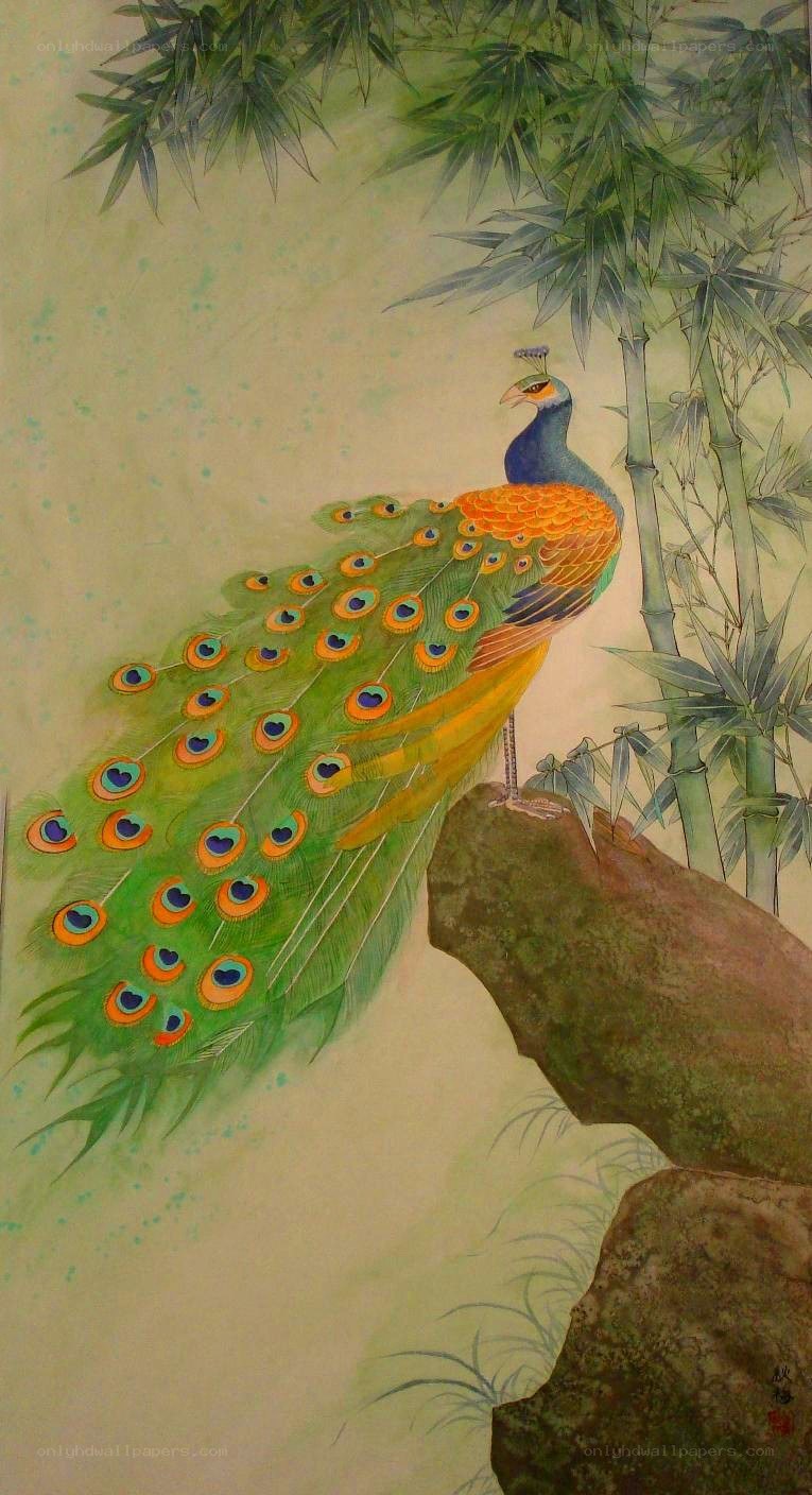 Peacock in Bamboo Grove