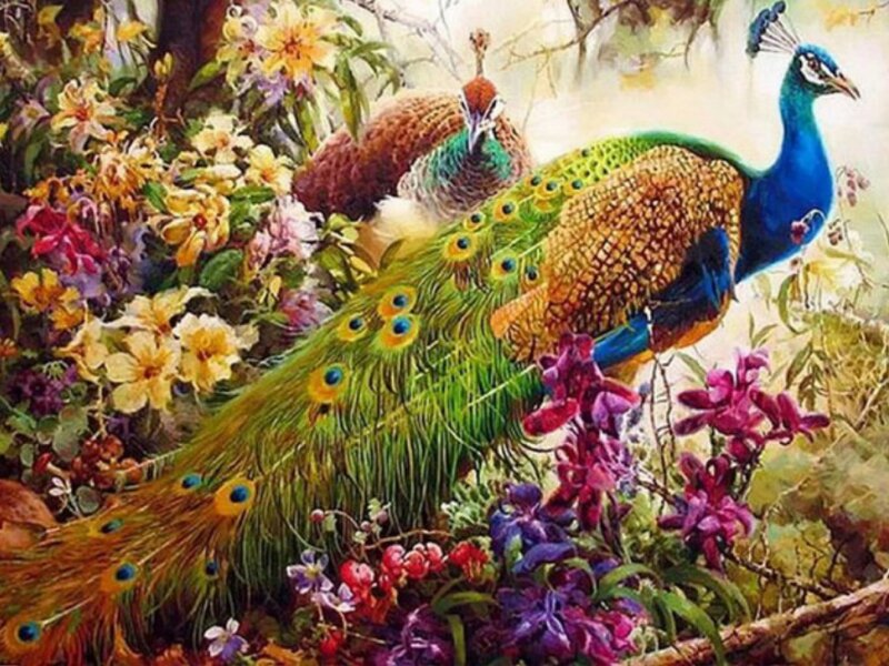 Peacock in Flowers