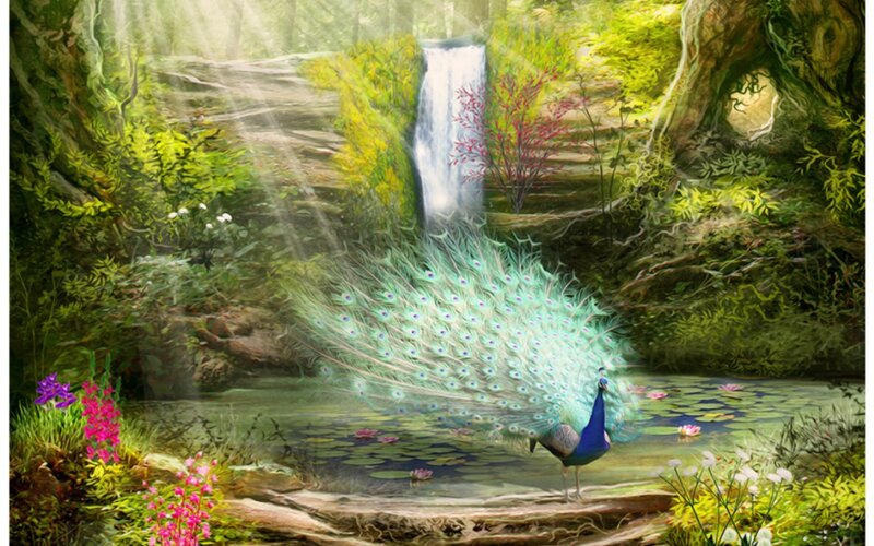 Peacock in Forest — Green, Serene, Morning