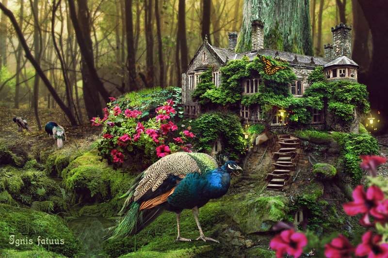 Peacock in Forest — Green, Serene