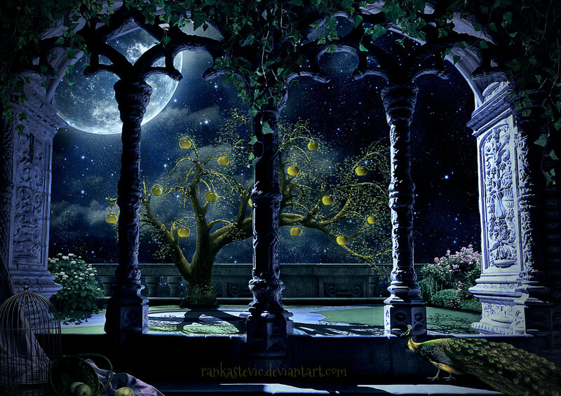 Peacock in Garden — Blue, Serene, Night