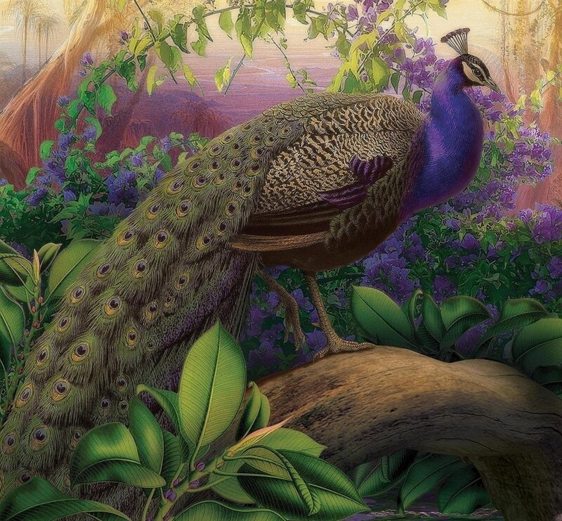 Peacock in Garden — Green, Serene, Sunset, Illustration