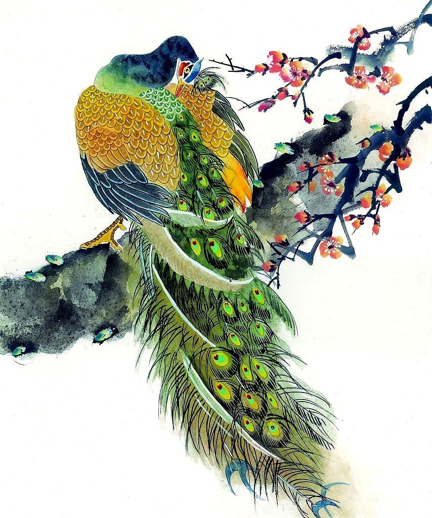peacock on a blossoming branch