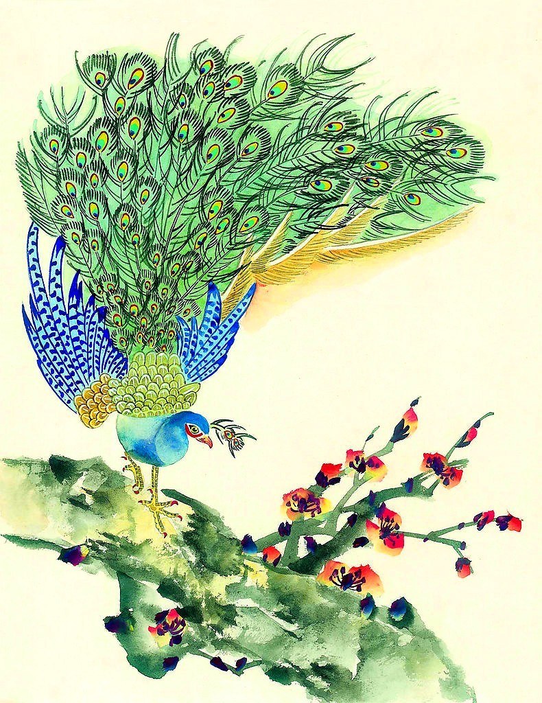 Peacock on a flowering branch