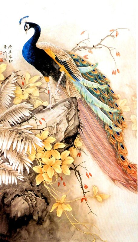 Peacock on a Rock
