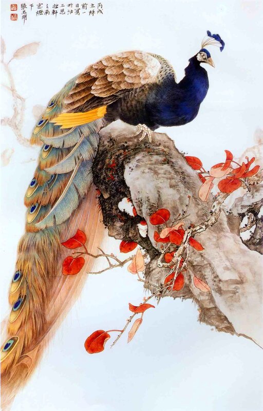 Peacock on a Rock