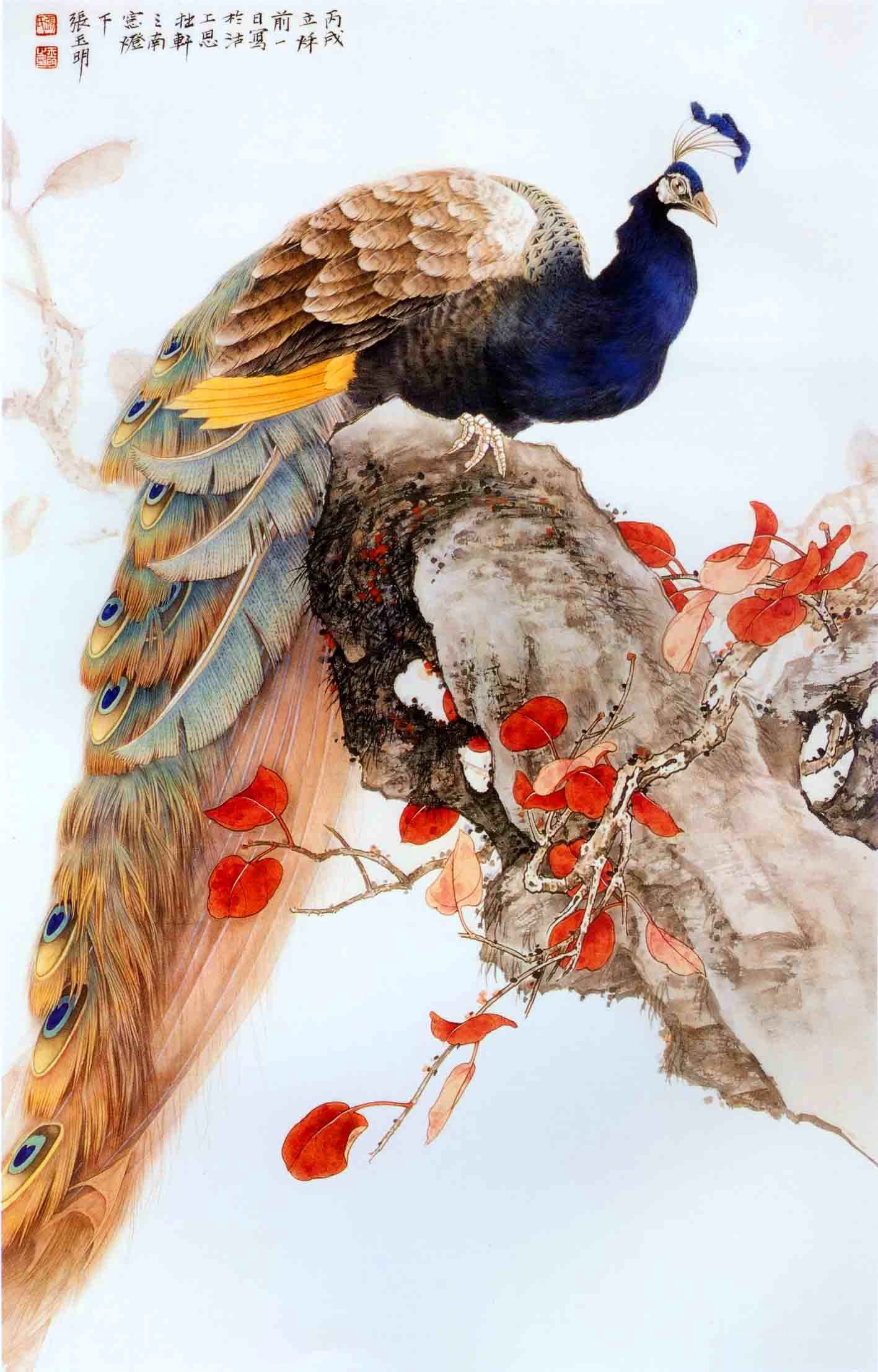 Peacock on a Rock