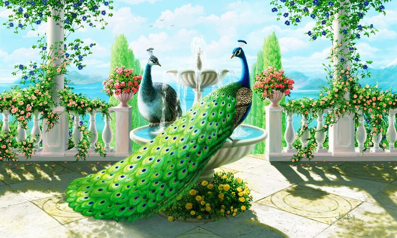 Peacock on a Terrace