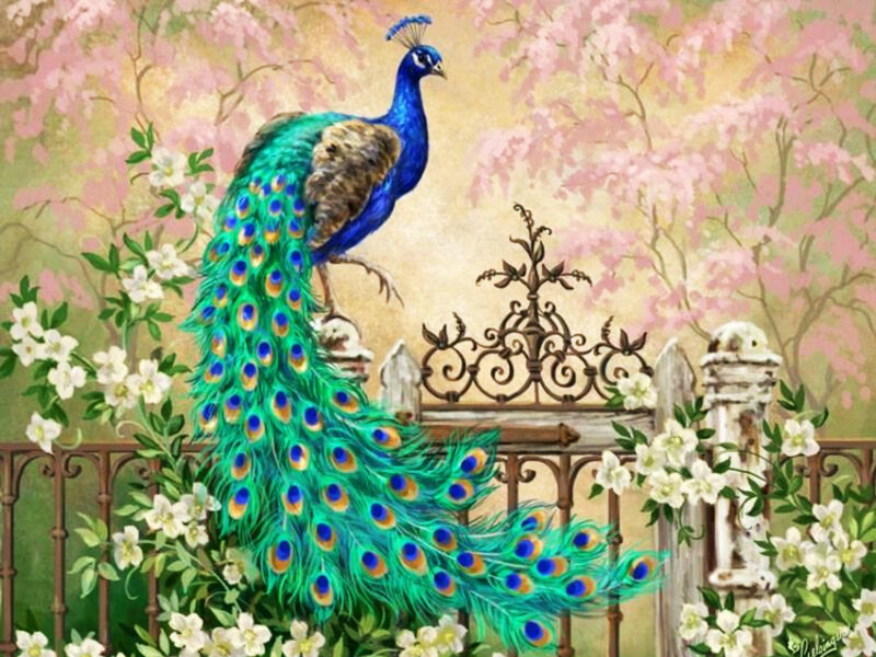 Peacock on Fence — Blue