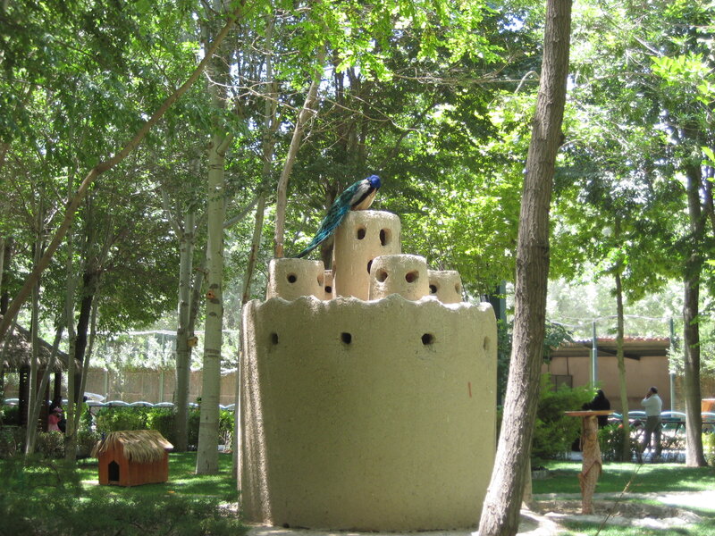Peacock on Structure
