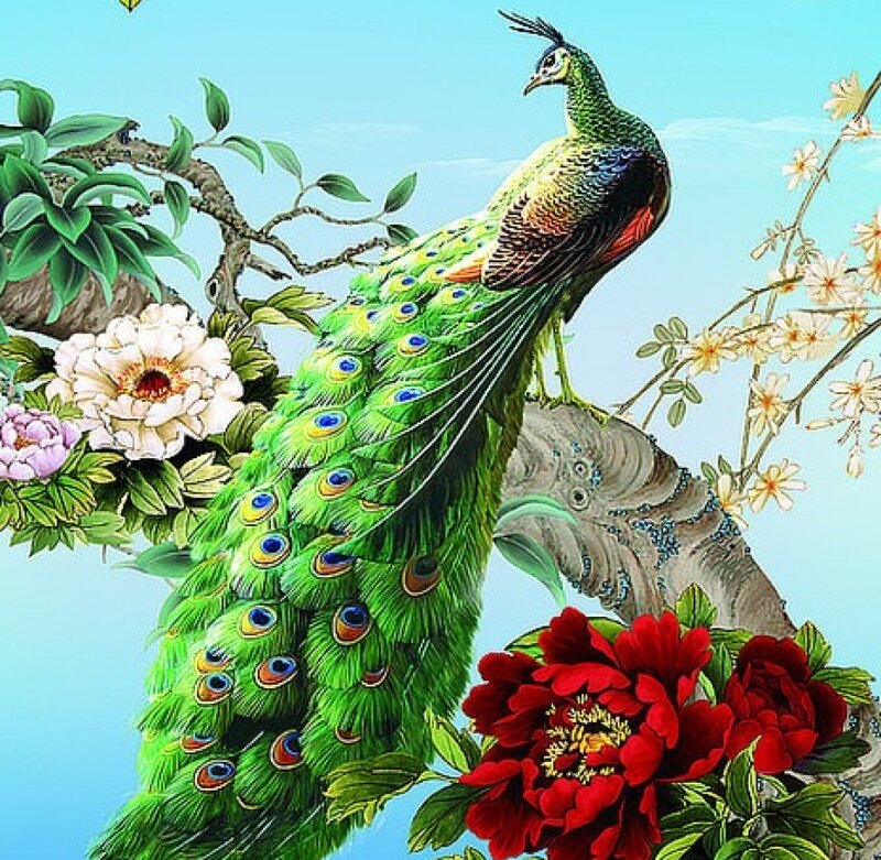 Peacock on Tree Branch — Green, Serene