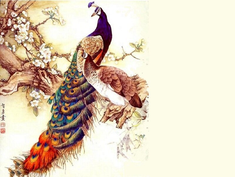 Peacock on Tree Branch