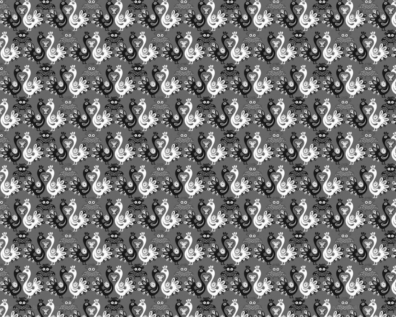 peacock pattern design
