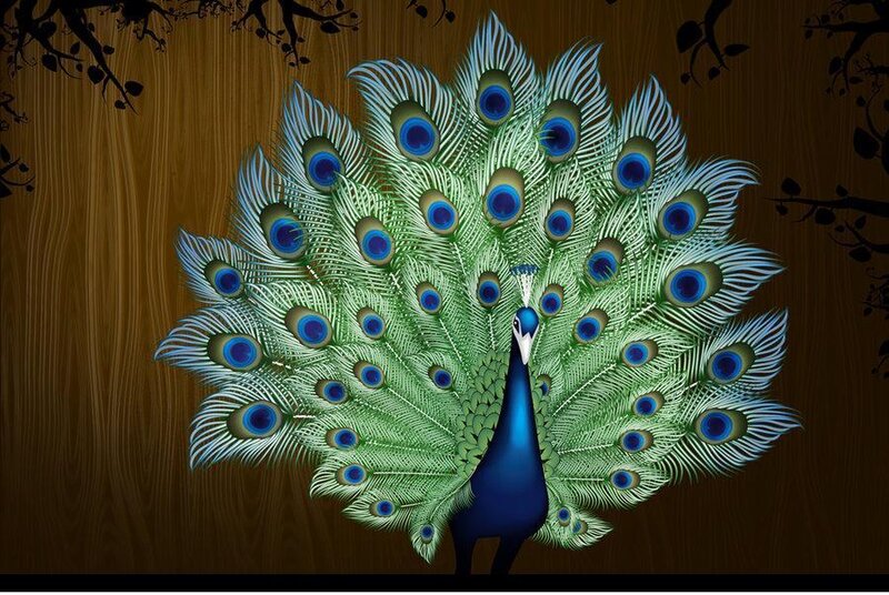 Peacock with Fanned Tail — Blue, Dramatic, Digital Art, Wooden Background