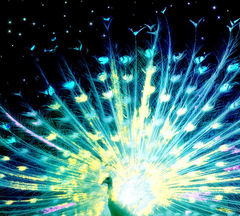 Peacock with Fanned Tail — Blue, Fantastical