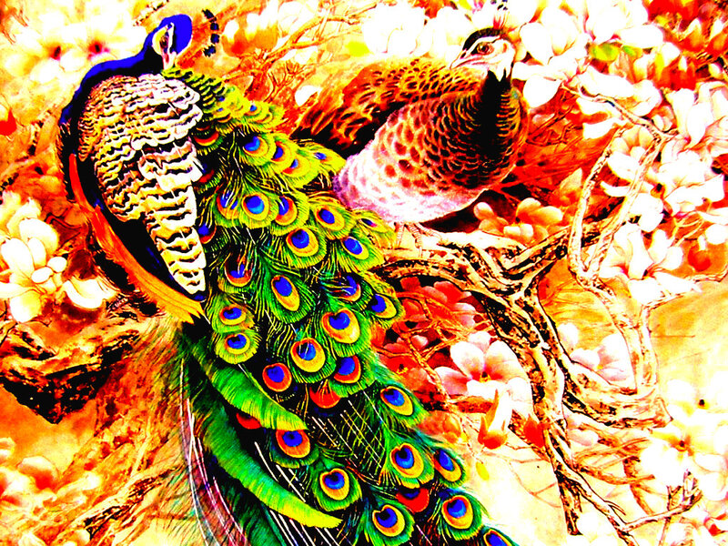 Peacock with Peahen