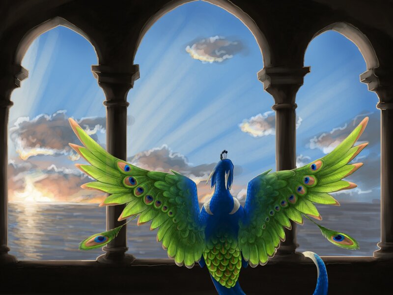 Peacock with Spread Wings