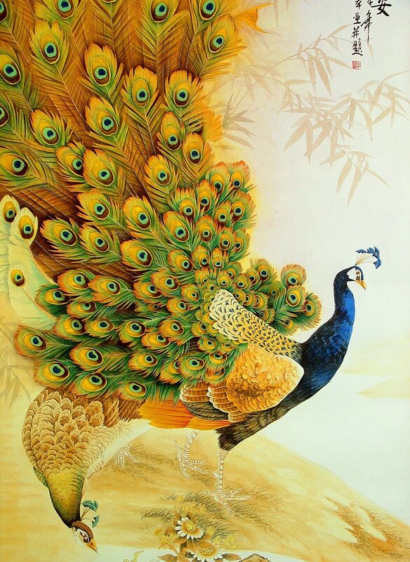 Peacock with vibrant tail feathers