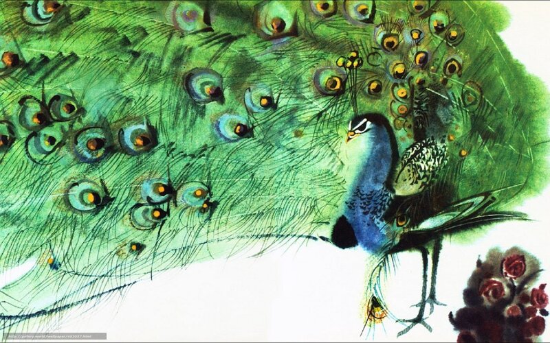 Peacock with vibrant tail feathers