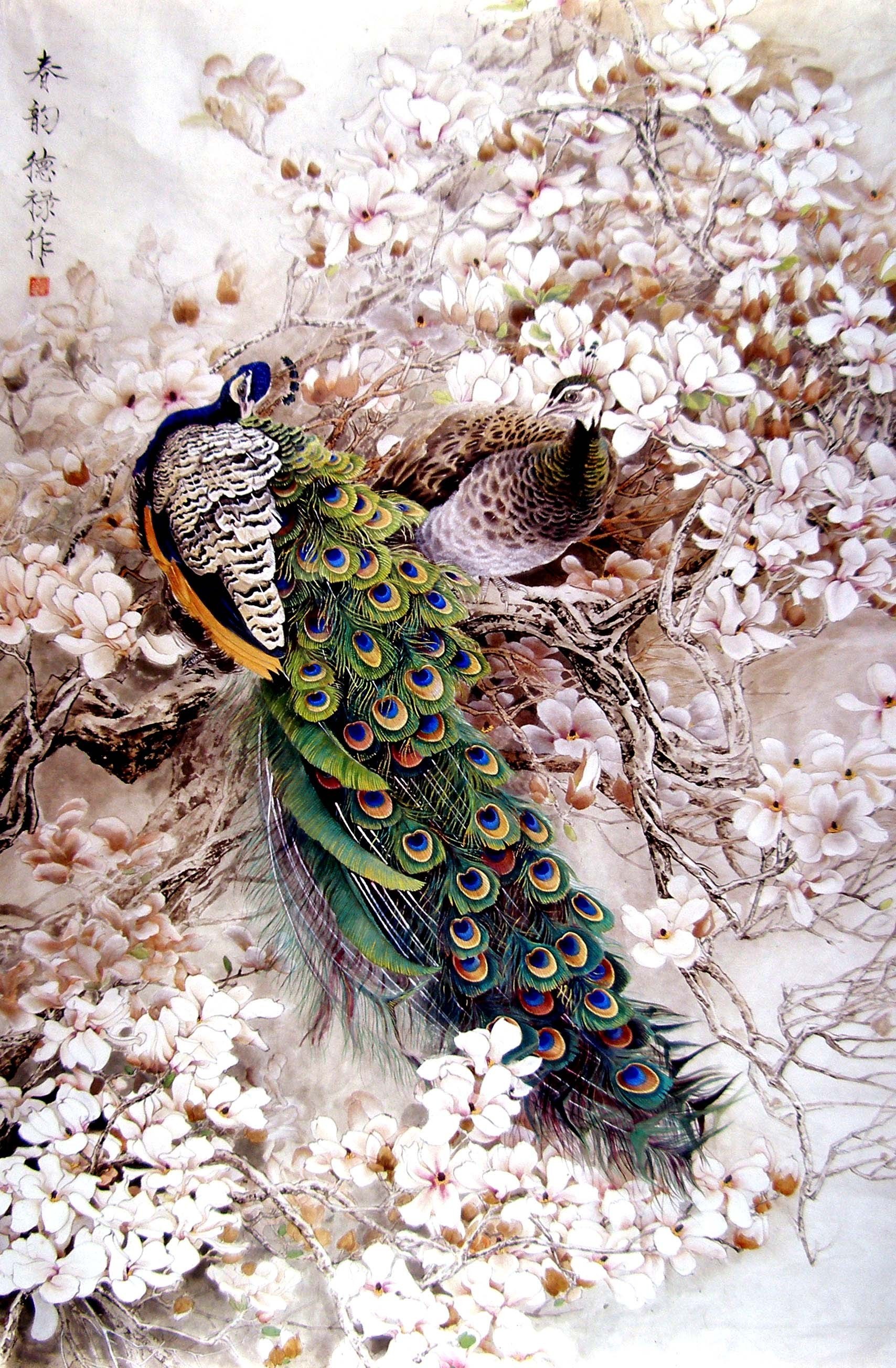 Peacocks Among Blossoms