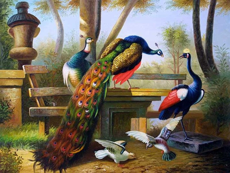 Peacocks and Birds in Garden