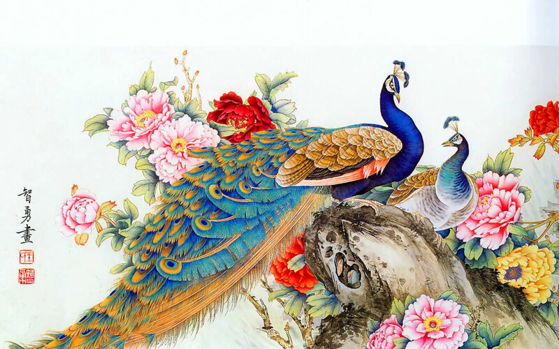 Peacocks and Peonies