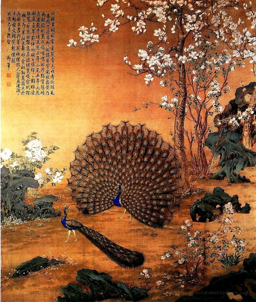 Peacocks in a blossoming garden
