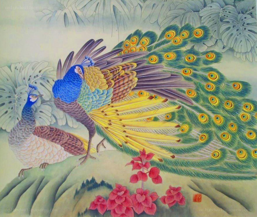 Peacocks in a garden
