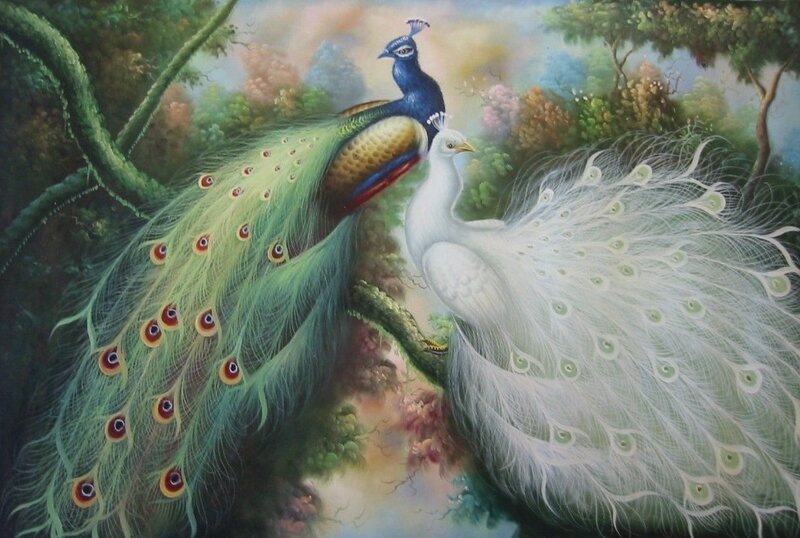 Peacocks in a lush forest
