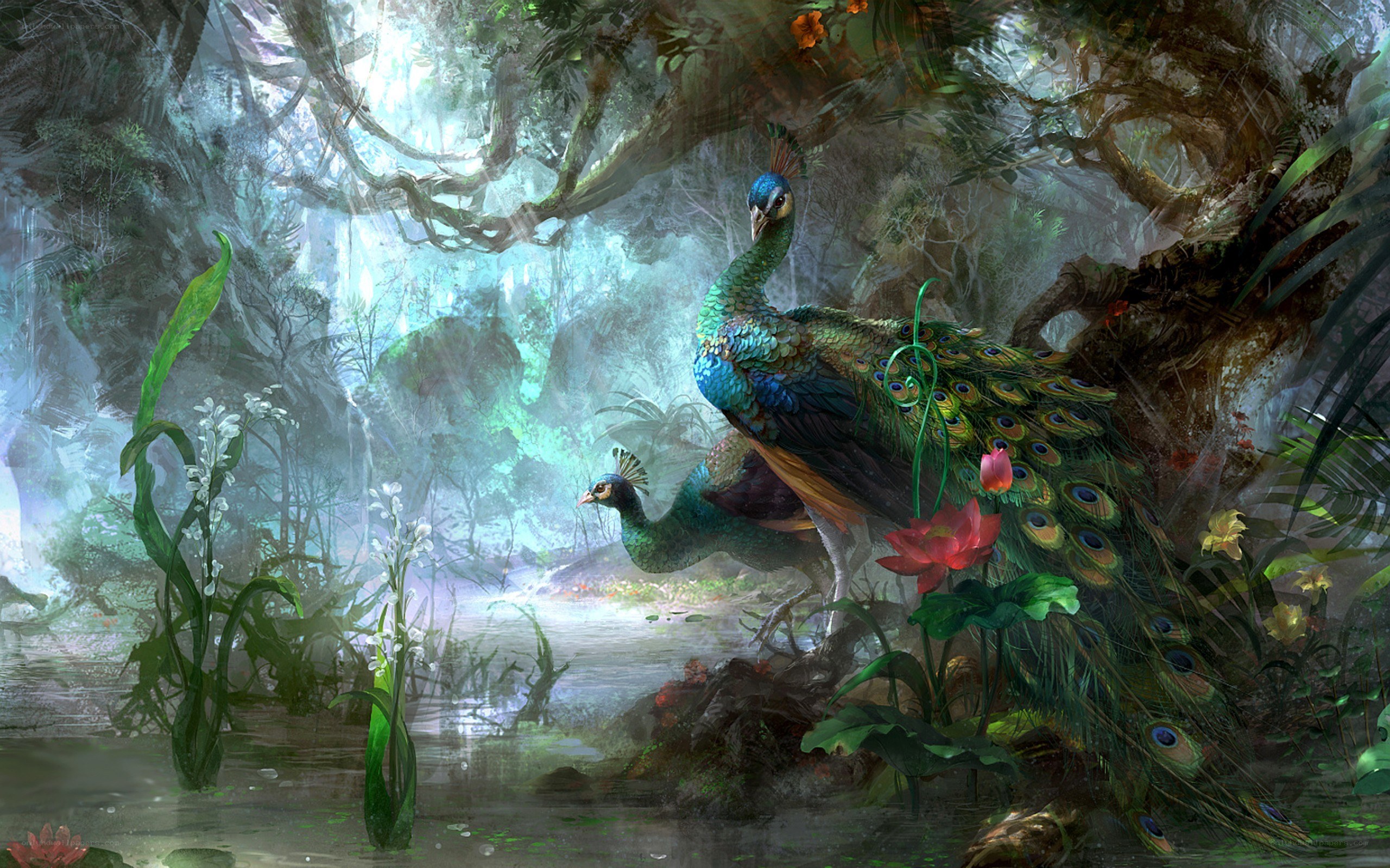 Peacocks in a misty forest
