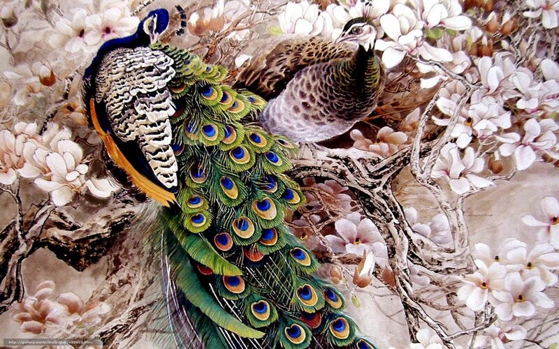 Peacocks in blooming trees