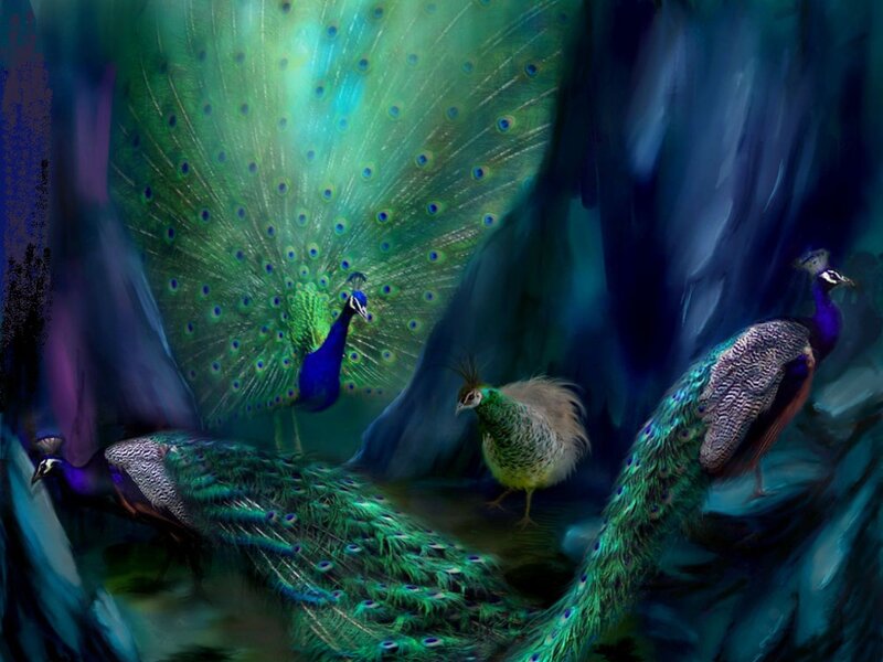Peacocks in Forest — Green, Dramatic