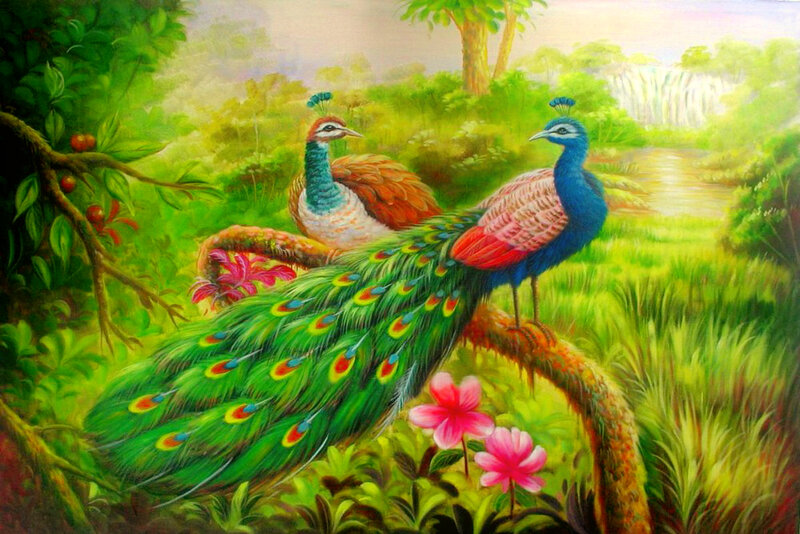 Peacocks in Forest — Green, Serene, Afternoon