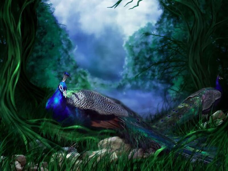 Peacocks in Forest — Green, Serene, Digital Art, Trees