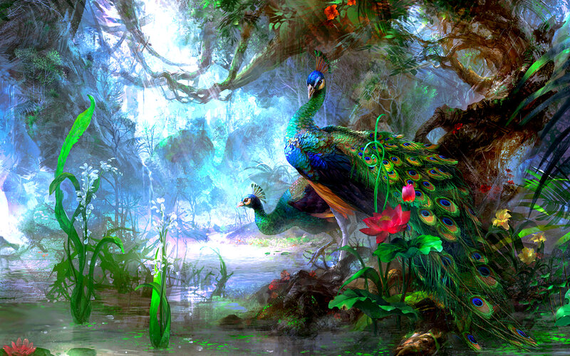 Peacocks in Forest — Green, Serene, Morning