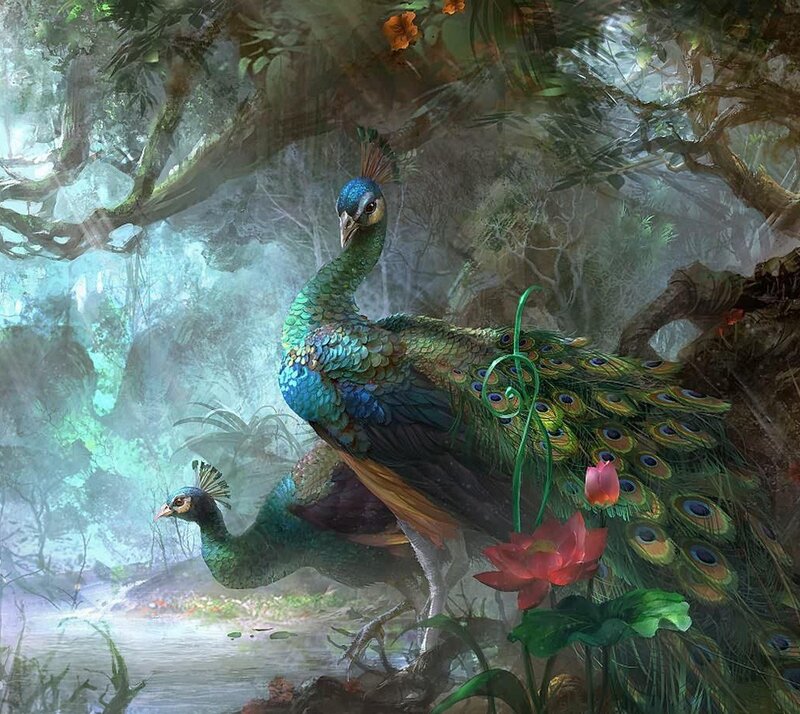Peacocks in Forest