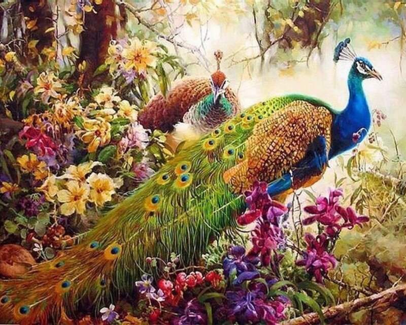 Peacocks in Garden — Blue