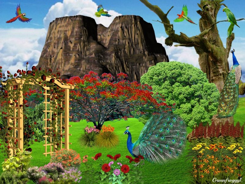 Peacocks in Garden — Green, Serene